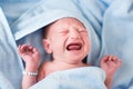 Tine newborn baby crying after bath in a blue towel Royalty Free Stock Photo