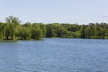 Summer view of Tineretului lake Royalty Free Stock Photo