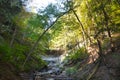 Tinker Falls trail leading to the falls during early fall season