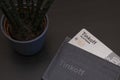 Tinkoff platinum credit card in business card holder and plant on wooden background Royalty Free Stock Photo