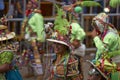 Tinkus dancers at the Oruro Carnival in Bolivia