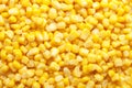 Tinned corn background