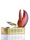 Tinned lobster Royalty Free Stock Photo