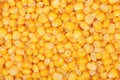 Tinned whole kernel corn background