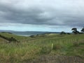 Tino Pai, Kaipara Harbour, New Zealand Royalty Free Stock Photo