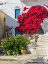 Isternia Tinos island Greece. Royalty Free Stock Photo