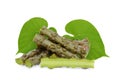 Tinospora cordifolia or bora phet thai name with green leaves Royalty Free Stock Photo