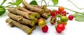 Tinospora cordifolia giloy fruits closeup Royalty Free Stock Photo