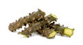 Tinospora cordifolia or Tinospora crispa isolated on white background Royalty Free Stock Photo