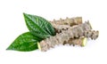Tinospora crispa on white background Royalty Free Stock Photo