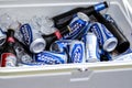 Tins and bottles of beer in an cooler box Royalty Free Stock Photo