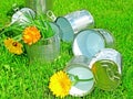 Tins in grass - recycling concept