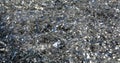 Tinsel in sparkling silvery lights, abstract sparkling Christmas background Royalty Free Stock Photo