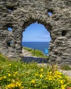 Tintagel Castle in Cornwall, UK Royalty Free Stock Photo