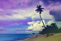 Tinted fantastic landscape caribbean coast