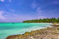 Tinted fantastic landscape caribbean coast