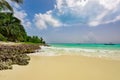 Tinted fantastic landscape caribbean coast