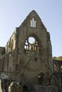 Tintern abbey Royalty Free Stock Photo