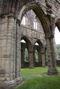 Tintern Abbey