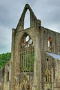 Tintern Abbey Royalty Free Stock Photo