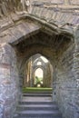 TINTERN ABBEY Royalty Free Stock Photo