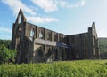 Tintern Abbey (Abaty Tyndyrn) in Tintern Royalty Free Stock Photo
