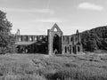 Tintern Abbey (Abaty Tyndyrn) in Tintern, black and white Royalty Free Stock Photo