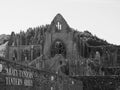 Tintern Abbey (Abaty Tyndyrn) in Tintern, black and white