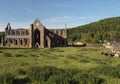 Tintern Abbey landscape