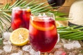 Tinto de Verano Cocktail