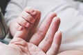 Tiny baby hand holding parent`s finger. New life, togetherness and love concept. Royalty Free Stock Photo