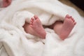 tiny baby legs of a newborn wrapped in a blanket. Close up Royalty Free Stock Photo