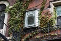 Tiny bay window on the exterior of a vine covered brownstone Royalty Free Stock Photo