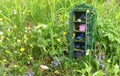 Tiny beautiful wardrobe or closet from dollhouse with magic objects of fairy, flowers and crystals outside in the garden