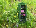 Tiny beautiful wardrobe or closet from dollhouse with magic objects of fairy, flowers and crystals outside in the garden