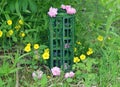 Tiny beautiful wardrobe or closet from dollhouse with magic ogjects of fairy and crystals outside in the garden among flowers