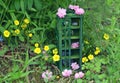 Tiny beautiful wardrobe or closet from dollhouse with magic ogjects of fairy, flowers and crystals outside in the garden