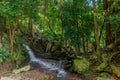 Tiny beautiful waterfall in the tropical forest at the Koh Samui.Thailand.