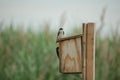 Tiny birds on wooden birdhouse on post