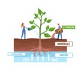 Tiny Characters Fertilizing and Watering Huge Green Plant Convert Light Energy during Photosynthesis Process