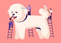 Tiny Characters on Ladders Care of Cute Poodle Puppy at Groomer Salon, Cut Wool, Brushing with Comb, Pet Hair Salon, Styling Royalty Free Stock Photo