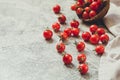 Tiny cherry tomatoes ciliegini, pachino, cocktail. group of cherry tomatoes on a gray concrete background. ripe and juicy cherry Royalty Free Stock Photo