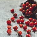 Tiny cherry tomatoes ciliegini, pachino, cocktail. group of cherry tomatoes on a gray concrete background. ripe and juicy cherry Royalty Free Stock Photo