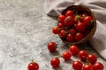 Tiny cherry tomatoes ciliegini, pachino, cocktail. group of cherry tomatoes on a gray concrete background. ripe and juicy cherry Royalty Free Stock Photo