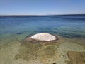 Tiny cone shaped island at Yellowstone National Park