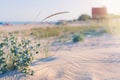 Tiny cozy house on the seashore among sand and cactuses Royalty Free Stock Photo