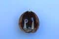 Tiny Creche scene made with clear gemstones set in a Walnut Shell