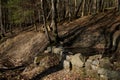 Tiny creek called Ziegenborn near the german city Bad Berleburg