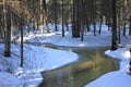 Tiny Creek in Winter Forest Royalty Free Stock Photo