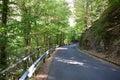 tiny curvy road above Mosel valley